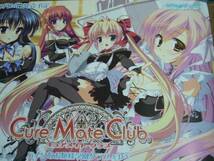 告知B2大　 ポスター Cure Mate Club キュアメイトクラブ_画像2