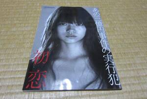  movie the first . pamphlet Miyazaki ... small ...3 hundred million jpy . case 