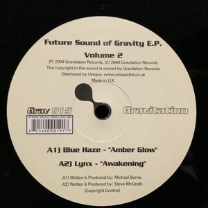 Various / Future Sound Of Gravity E.P. Volume 2