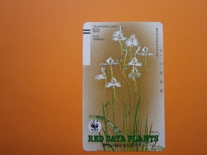 テレカ●●　ＲＥＤ　ＤＡＴＥ　ＰＬＡＮＴＳ　サギソウ