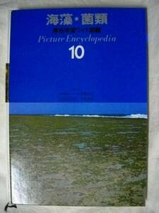 学研　原色学習ワイド図鑑　⑩海藻・菌類　１９７６