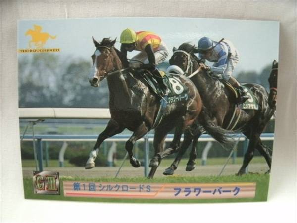 バンダイ競馬メモリアルカードブローアップ版1996年 全27枚 ウマ娘 希少❗️ バンダイ競馬メモリアルカードブローアップ版1996年 全27枚 ウマ