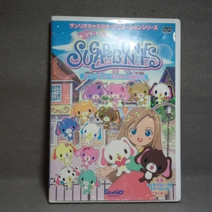 シュガーバニーズ DVD