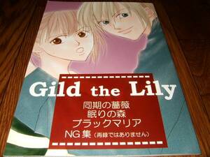 【マリア様がみてる同人誌】 Gild the Lily/ワイルドハニー D62