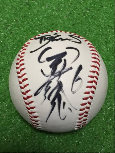阪神タイガース 投げ入れ 直筆サイン ボール 金本 2011年 阪神タイガース 投げ入れ 直筆サイン ボール 金本 2011年 - メルカリ