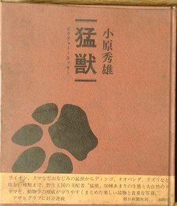 ★★猛獣 ピクチャー・エッセイ 小原秀雄著 朝日新聞社