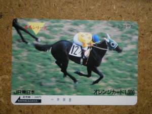 I537A・カブラヤオー　競馬　オレンジカード
