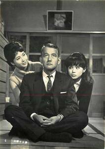 p8213加賀まり子岩下志麻『大根と人参1965』美品スナップ