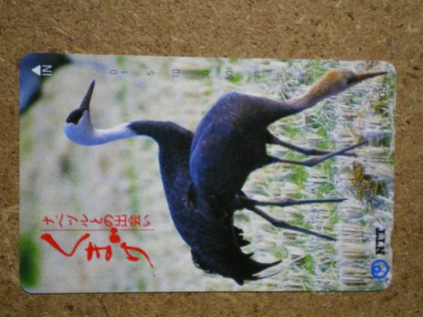 2025年最新】Yahoo!オークション -ナベヅルの中古品・新品・未