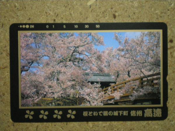 希少！信州高遠城之絵図　大型　額装 信州高遠城之絵図