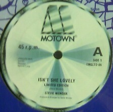 $ STEVIE WONDER / ISN'T SHE LOVELY (TMGLTD 06) Master Blaster (Jammin') レコード スティーヴィー・ワンダー / 可愛いアイシャ Y4