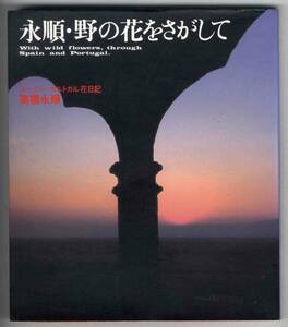 【c5995】1991年 永順・野の花をさがして-スペイン・ポルトガル