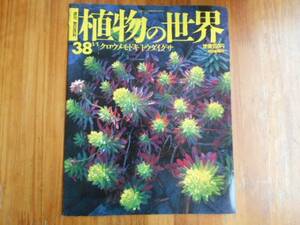 ★　朝日百科　 植物の世界　38　クロウメモドキ　トウダイグサ　タカ58