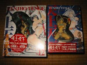 * Tenjou Tenge no. 9 volume figure special equipment version tea caddy genuine night no. 12 volume tea caddy . night 