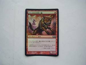 バイン　MTG ジャッカルの使い魔/Jackal Familiar foil 日本語1枚