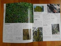 ★　週刊 　朝日百科 　植物の世界　63　エリカ　アセビ　ホツツジ　タカ58_画像3