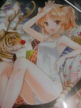 とらのあな C85 有償特典 ゴムバンド付きクリアバインダー 狐印_画像1