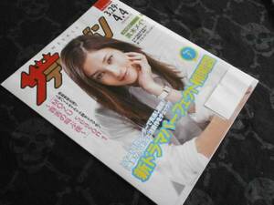  The Television black tree meisa2014 No.13