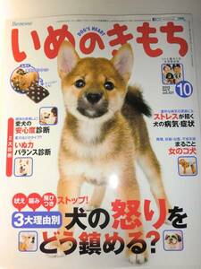 ★いぬのきもち　2013年10月 テリア　スパニエル　雑種【即決】