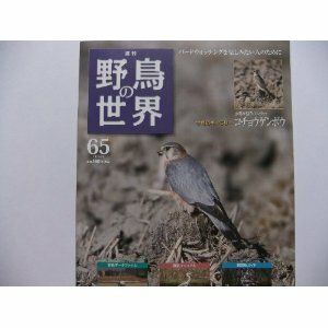 週刊　野鳥の世界 NO.65　