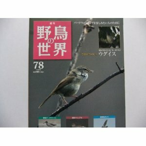 週刊　野鳥の世界　NO.78