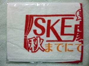 SKE48「春コン 専用劇場は秋までにできるのか？」マフラータオル