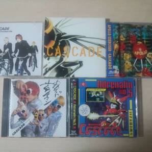 CASCADE CDアルバム5枚セット★カスケード